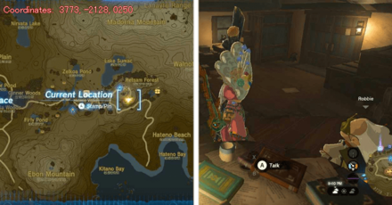 Tears of the Kingdom TOTK