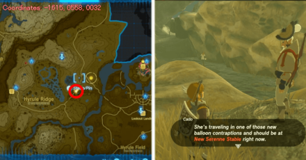 Tears of the Kingdom TOTK