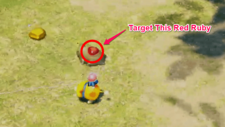 Pikmin 4 - Target the Red Ruby On Gildemandwee Back