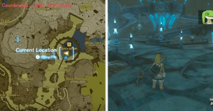 Tears of the Kingdom TOTK