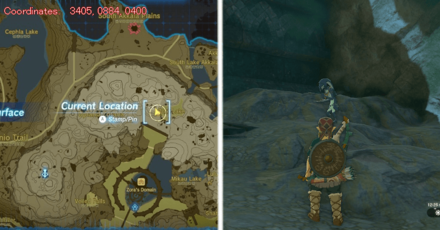 Tears of the Kingdom TOTK