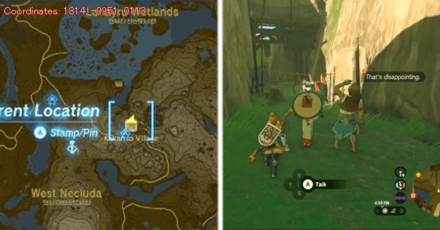 Tears of the Kingdom TOTK