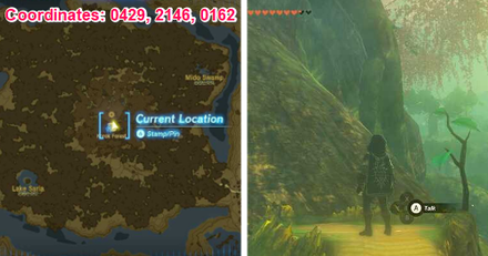 Tears of the Kingdom TOTK