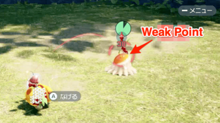 Pikmin 4 - Sunsquish Weak Point