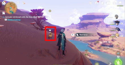 Genshin - Samir Overview Location