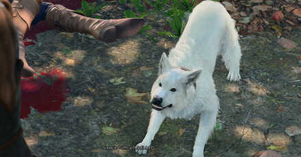 Make Scratch Follow You - Baldur