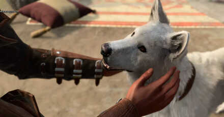 Pet Scratch in Camp - Baldur