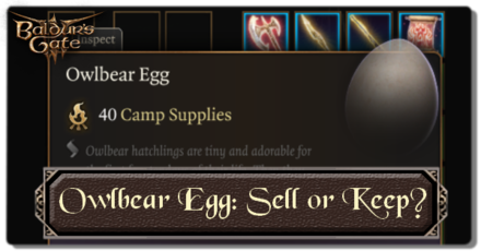 Should You Sell Or Keep The Owlbear Egg Baldur S Gate 3 BG3 Game8   Show