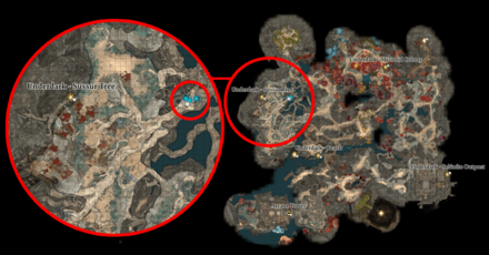 Baldurs Gate 3 - Sussur Tree Map Location.png