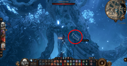 Baldurs Gate 3 - Sussur Tree Bark Location