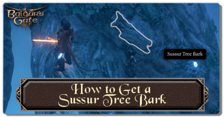Baldurs Gate 3 - How to Get a Sussur Tree Bark