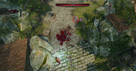 Kill the Goblin Devout - Baldur