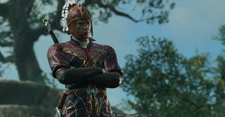 Convince Goblins - Baldur