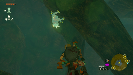 Ancient Tree Stump Cave Bubbulfrog