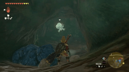 Great Plateau Foothill Cave Bubbulfrog