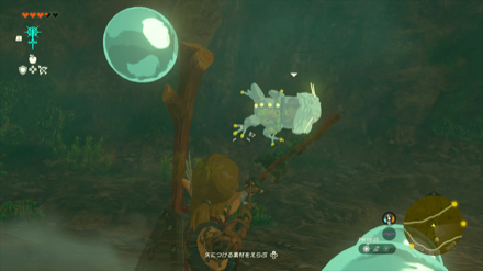 Passeri Greenbelt Cave Bubbulfrog