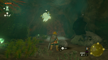 Crenel Peak Cave Bubbulfrog