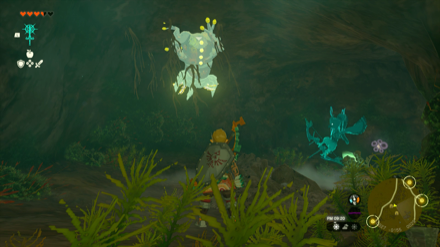 Ranch Ruins Cave Bubbulfrog