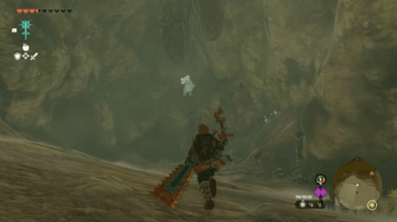 Tanagar Canyon East Cave Bubbulfrog