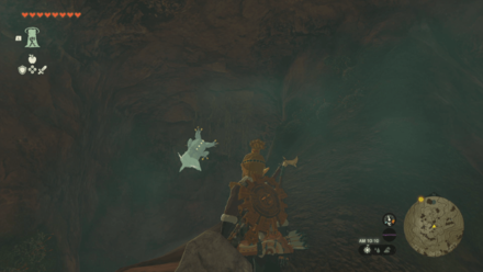 Satori Mountain Cave Bubbulfrog