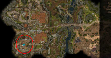 Ogres Map Location - Baldur