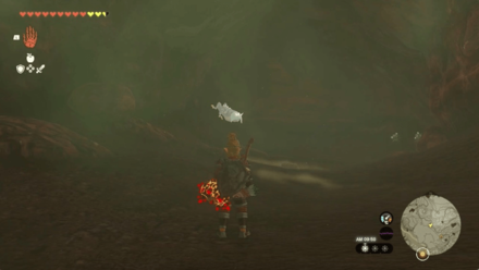 Southern Mine Cave Bubbulfrog