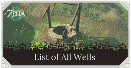 TOTK - List of All Wells