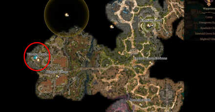 Save the Gnome Map Location - Baldur