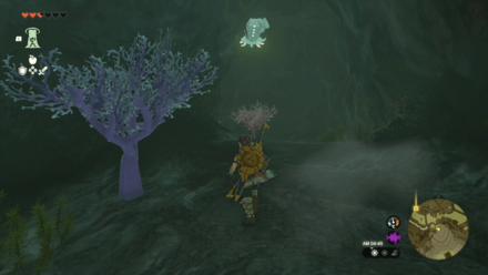 Oren Bridge Cave Bubbulfrog