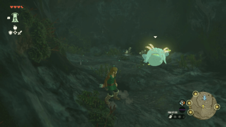 Upland Zorana Summit Cave Bubbulfrog