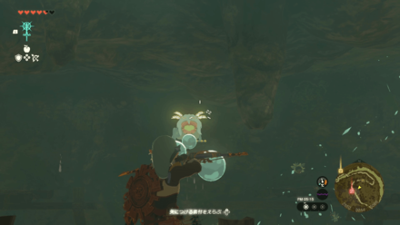 Tabahl Woods Cave Bubbulfrog