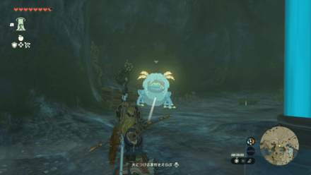 Pristine Sanctum Bubbulfrog