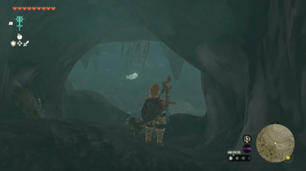 Rospro Pass Cave Bubbulfrog