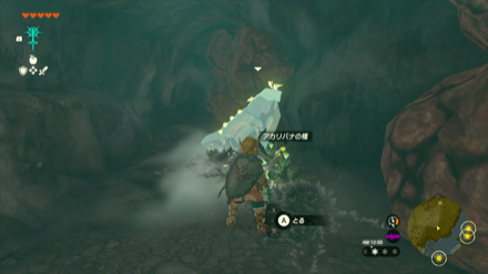 Sturnida Springs Cave Bubbulfrog