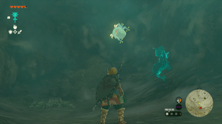 Talonto Peak Cave Bubbulfrog