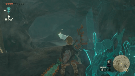 Hebra Headspring Cave Bubbulfrog