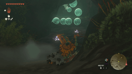 Tamio River Downstream Cave Bubbulfrog