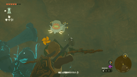 South Gerudo Cave Bubbulfrog