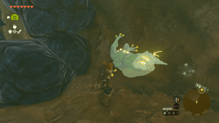 Central Gerudo Cave Bubbulfrog