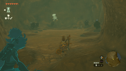 Mount Nabooru Cave Bubbulfrog