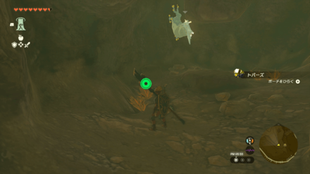 Mount Nabooru South Cave Bubbulfrog