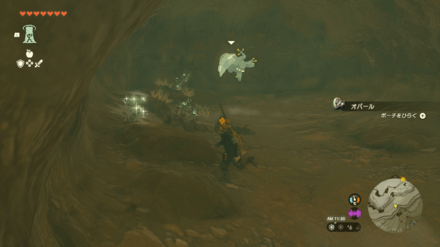 Taafei Hill Cave Bubbulfrog