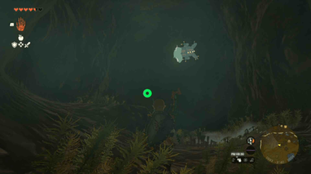 Pagos Woods Excavation Site Bubbulfrog