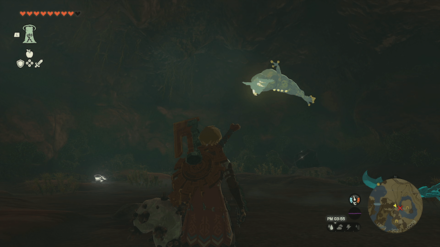 Rodai Lakefront Tunnel Bubbulfrog