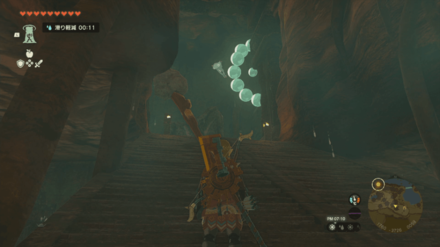 Rassla Lake Cave Bubbulfrog