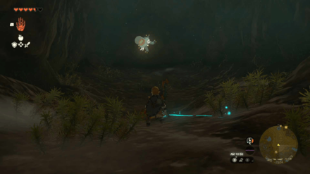 Finra Woods Excavation Site Bubbulfrog