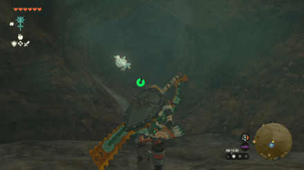 Deepback Bay Cave Bubbulfrog