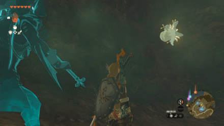 Retsam Forest Cave Bubbulfrog