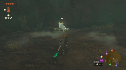 Fort Hateno Cave Bubbulfrog