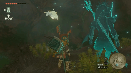 Akkala Citadel Ruins Cave Bubbulfrog